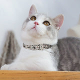 Custom Face Seamless Pet Collar Personalized Dog Cat Collar