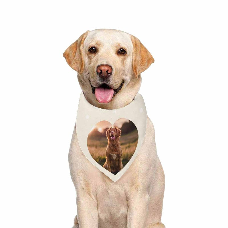 Custom Photo Heart Shape Pet Bandana