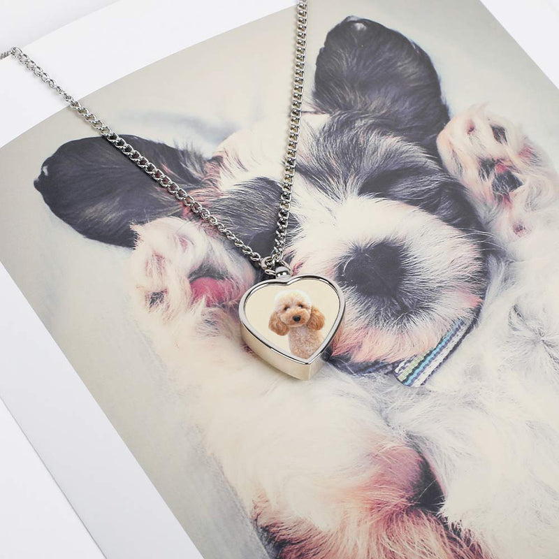 Custom Photo Pet urn Necklace Pet Loss Memorial Necklace Personalized Pet Loss Gift