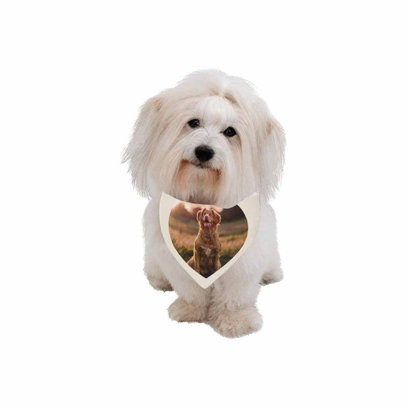 Custom Photo Heart Shape Pet Bandana