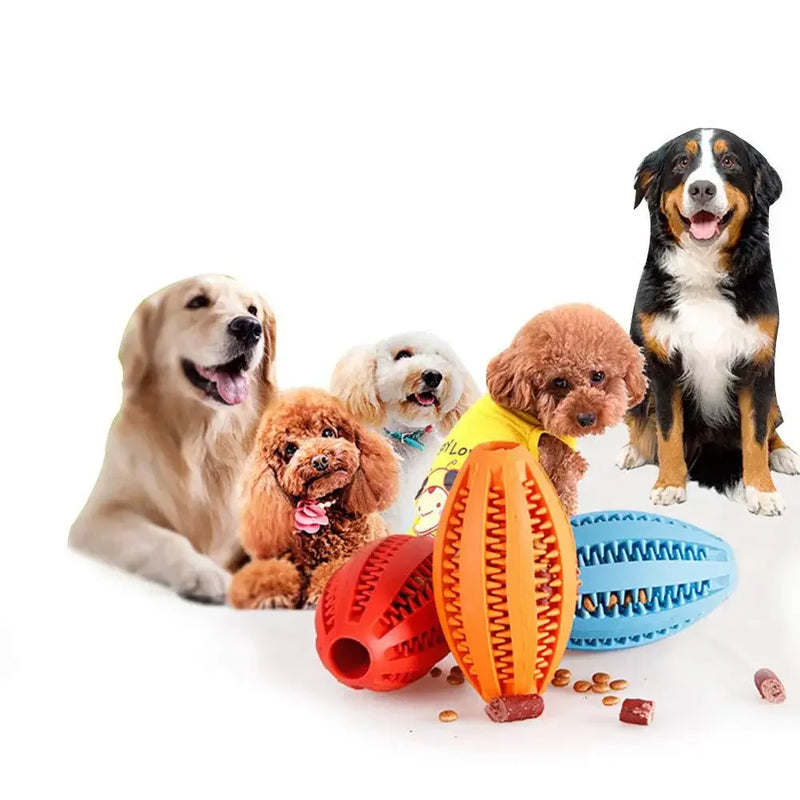 Pet Dog Chew Toys Teeth Cleaning Snack Ball Pet Dog Toy Ball Natural Rubber Super Tough Interactive Bouncy Pet Supplies