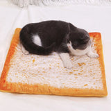 Cat Blanket Funny Food Design Pet Nest Warm Soft Cat Dog Sleep Pad Cute Pizza Shape Pet Kennel Floor Mats Pet Supplies