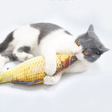 Crucian fish amuse cat toy amuse cat stick molar kitten from hi to relieve the boredom doll kitten pet supplies